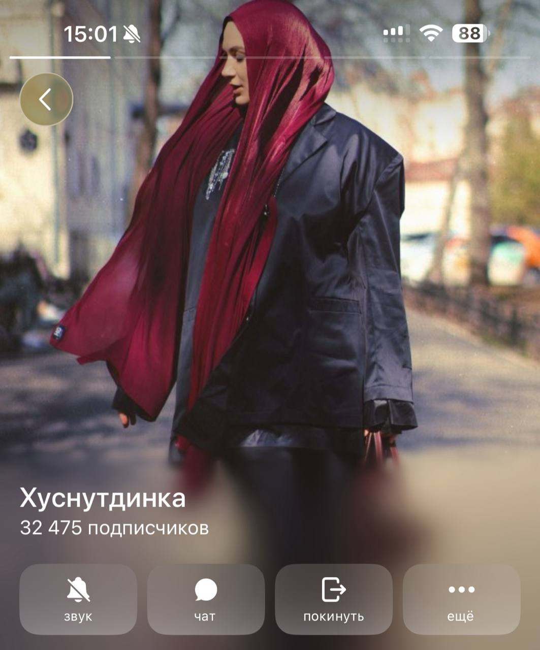 Профиль блогера